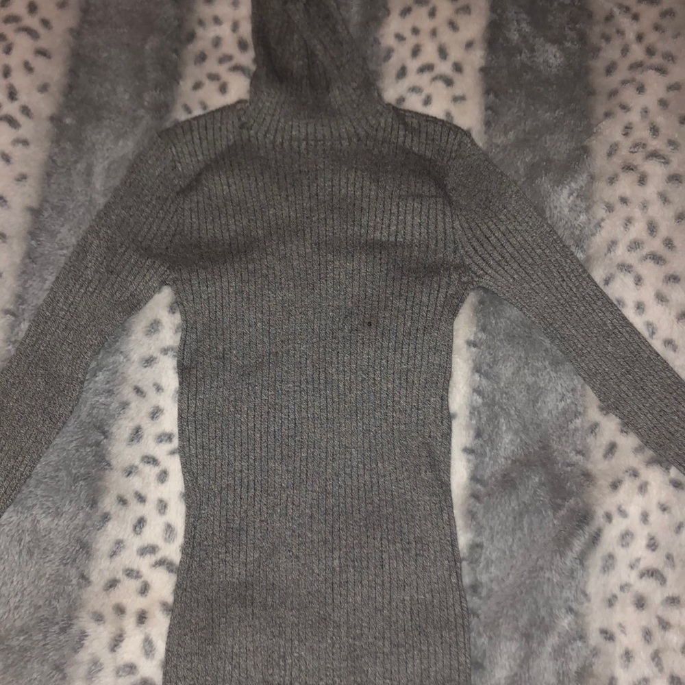 Express sweater